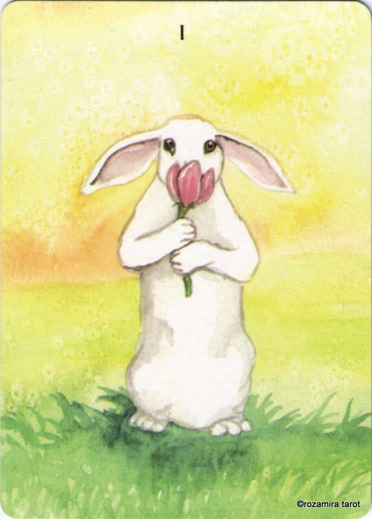 Rabbit Tarot